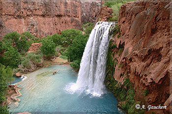 Havasu Fall